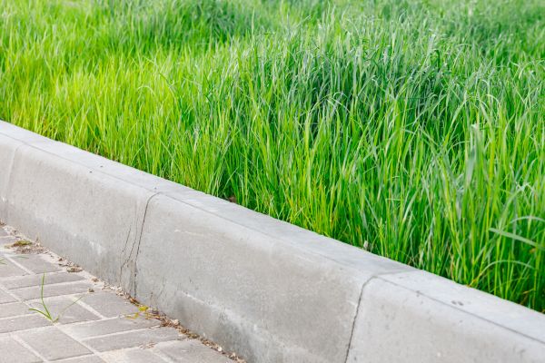 Concrete Curb Repair